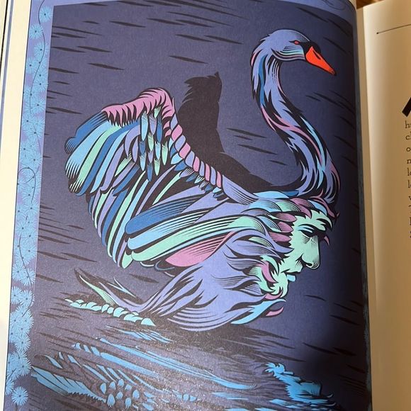 New Classics Reimagined, Grimm's Fairy Tales Illustrated by Yann Legendre - Picture 5 of 9